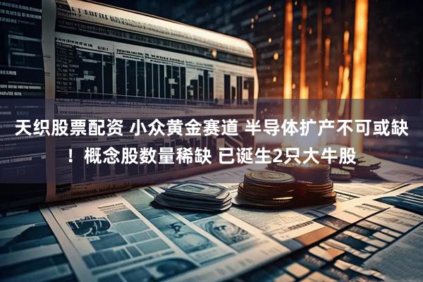天织股票配资 小众黄金赛道 半导体扩产不可或缺！概念股数量稀缺 已诞生2只大牛股