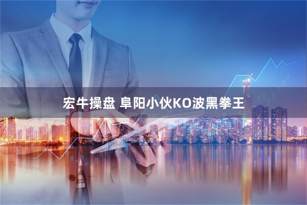 宏牛操盘 阜阳小伙KO波黑拳王